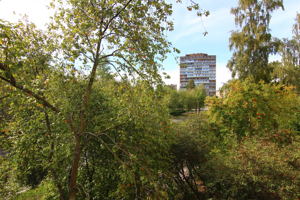 Уютная квартира в зелёном районе