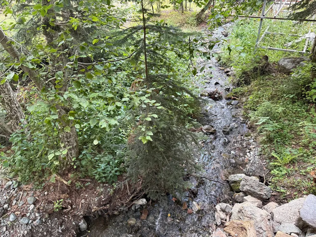 Шале Зарево 2