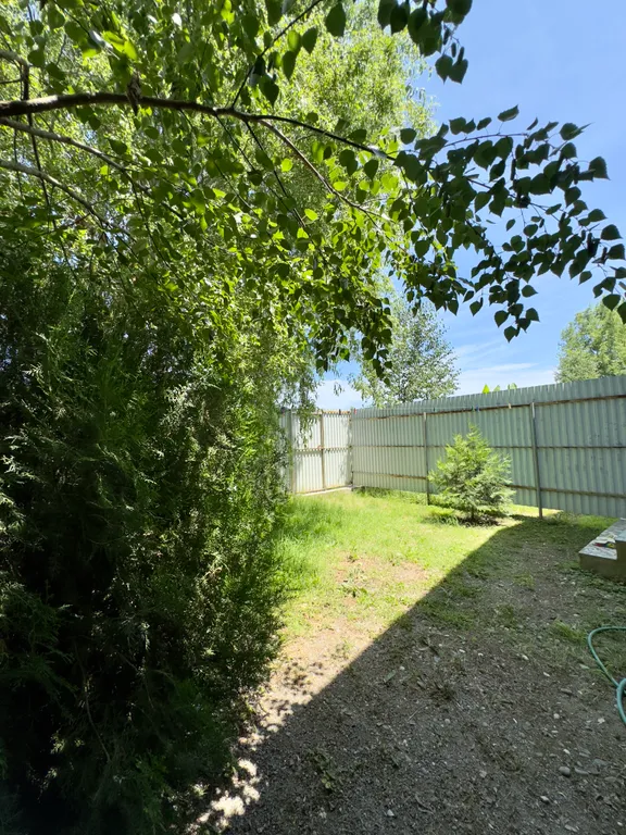 Уютный домик у моря в единственном лиановом лесу в России