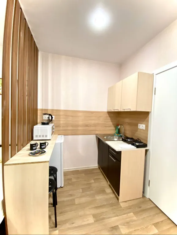 Студия Самолет