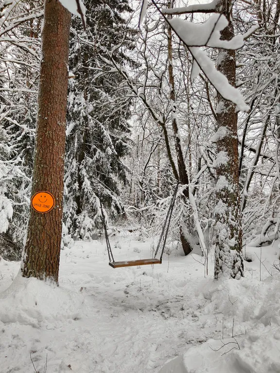 Чилим на крыше