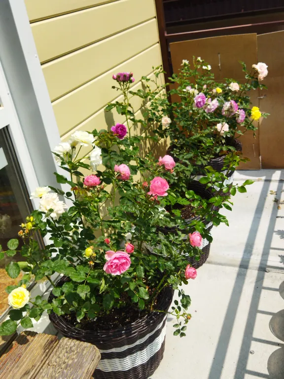 Уютные апартаменты