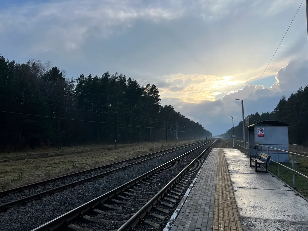 Коттедж Гостевой Дом Ветрово — Сосновка