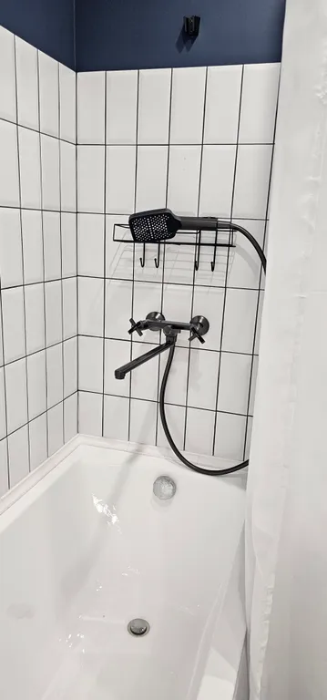 Современная студия с видом на лес