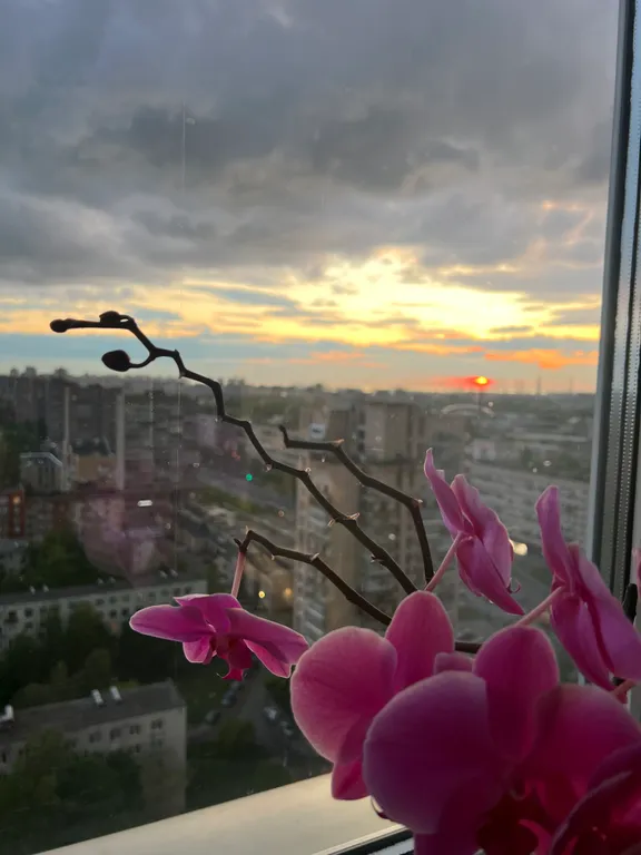 Квартира Уютная квартира, с видом на закаты, рядом метро и аэропорт — Санкт-Петербург