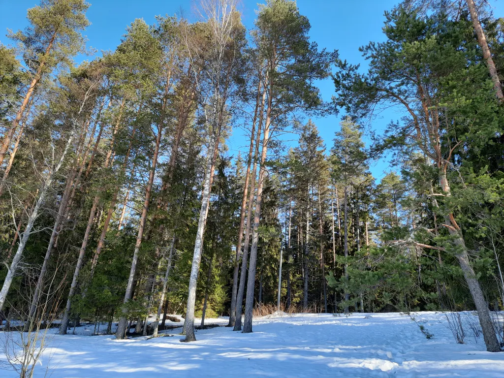Домик с видом на озеро