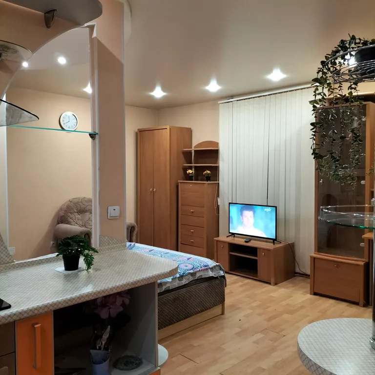 Квартира-студия в центре города