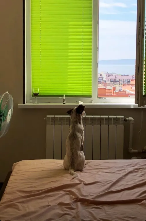 Квартира у Волги, с видом на реку, горы