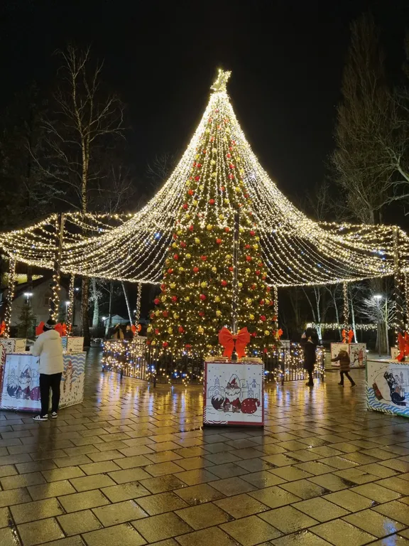 Квартира Квартира на море — Зеленоградск