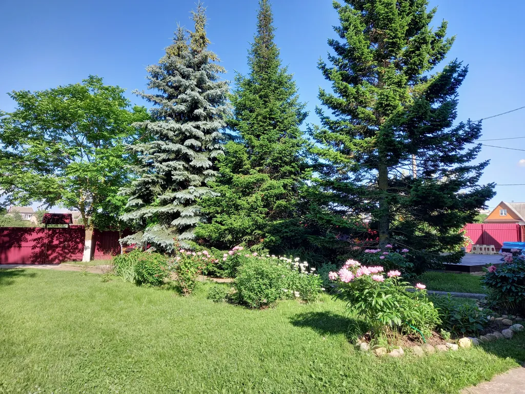 Усадьба у силич недалеко от Минска