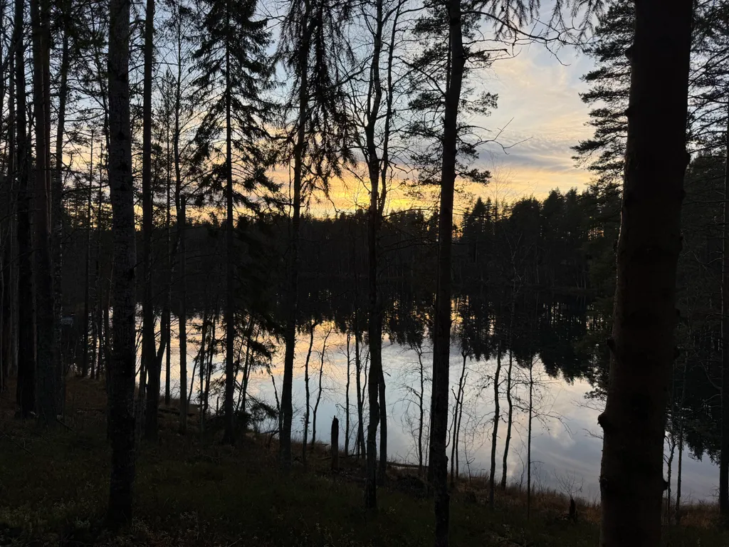 Руна Леса Карелия