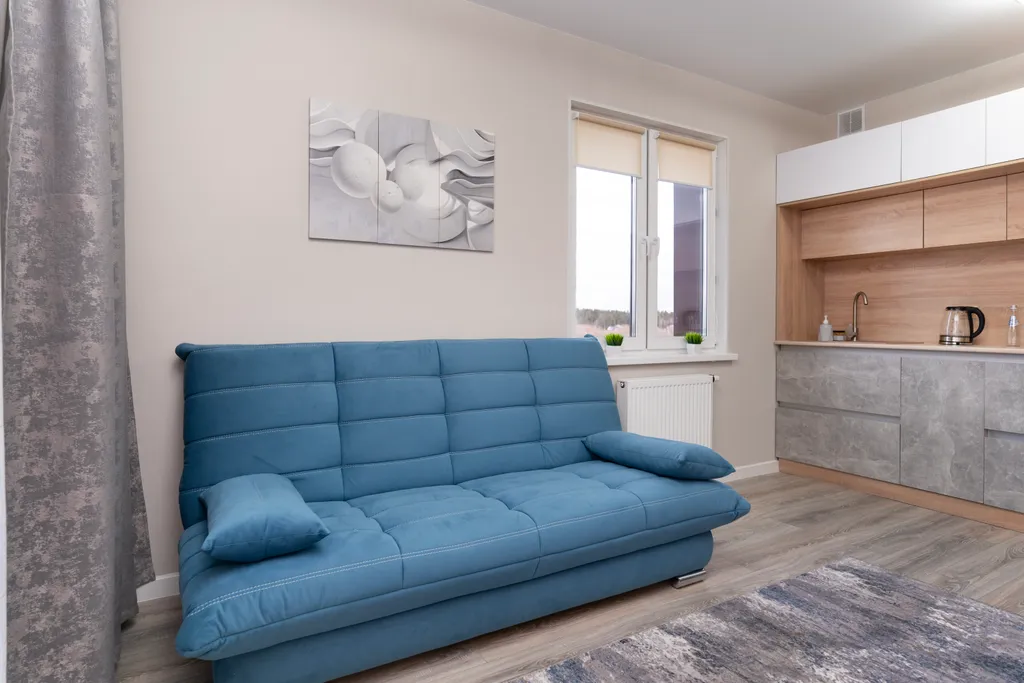 Евро 1-комнатная рядом с Олимпийской Гостиницей