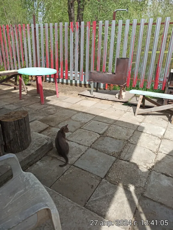 Коттедж в Царевщине