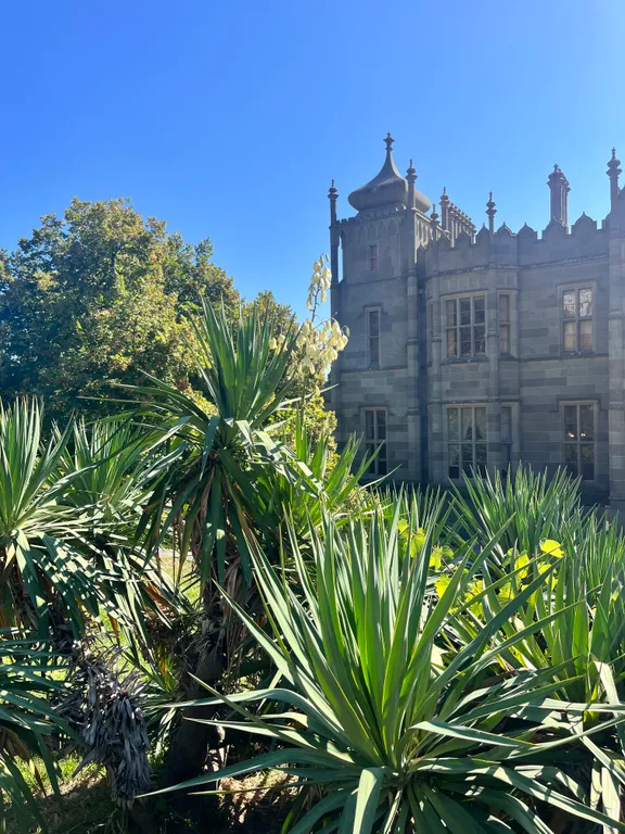 Уютная новая студия