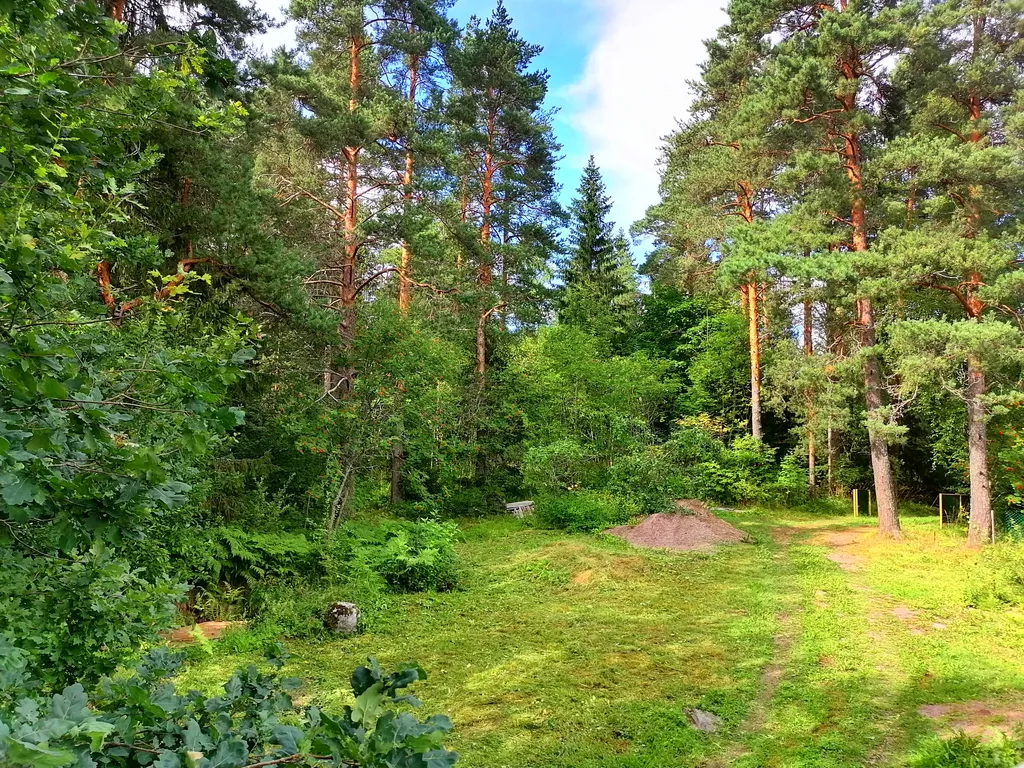 Гостевой дом у леса