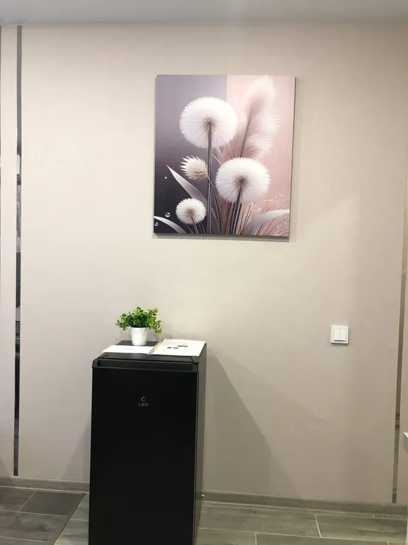 Студия с парящей кроватью