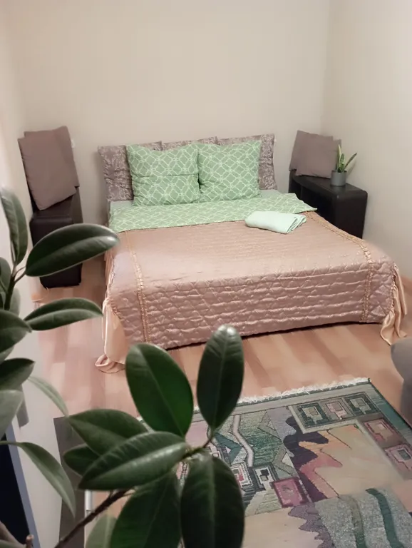 1-комнатная Квартира — аренда посуточно в Владимир