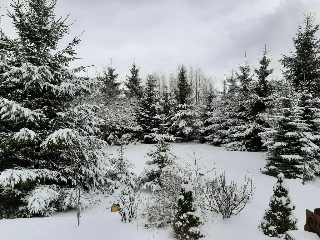 Гостевой дом на 6 человек Чёрный кот