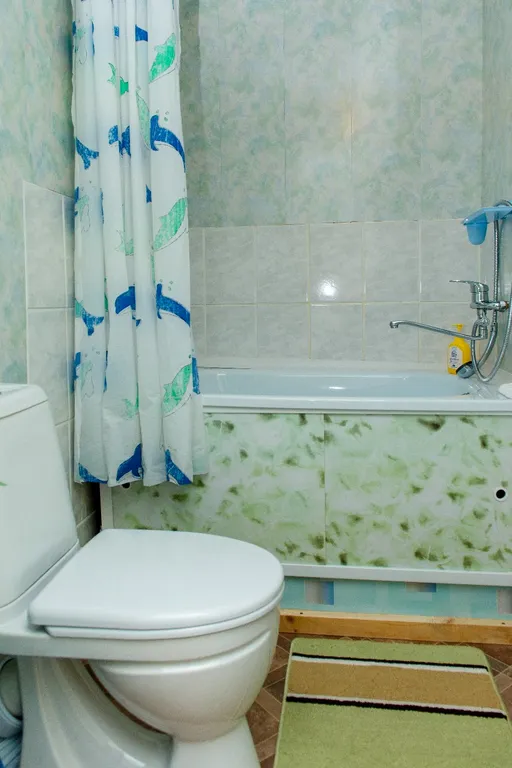 Дом на берегу реки Катунь