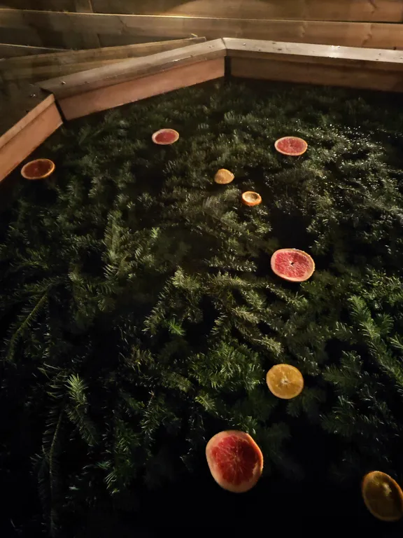 Уютный гестхаус Горки посреди леса и в полном уединении, баня и чан