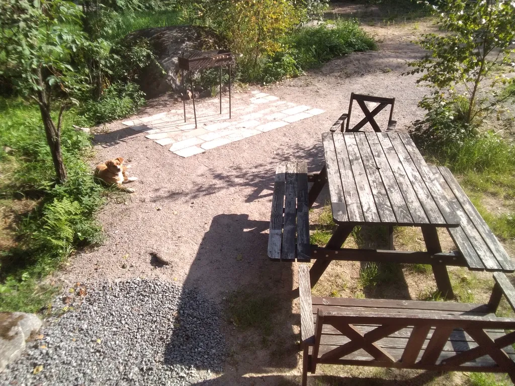 Домик у леса