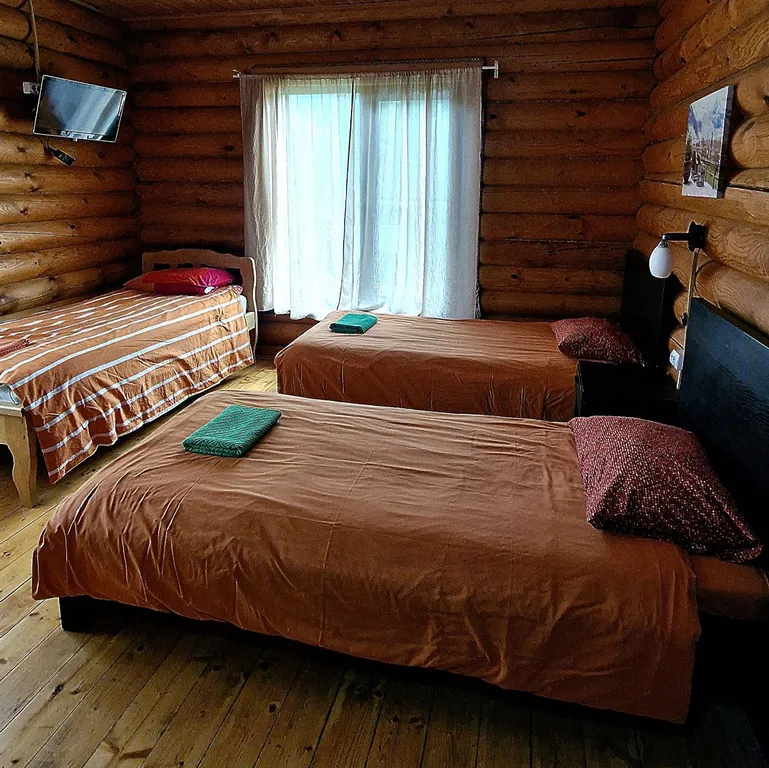 Уютный трёхместный эко-номер