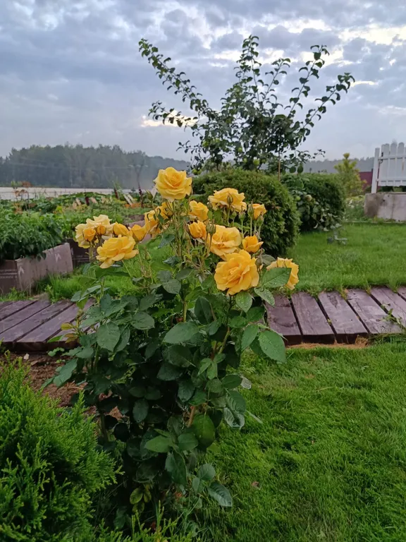 Дом с баней и камином в заповеднике
