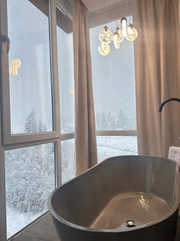 Квартира-студия в Домбае