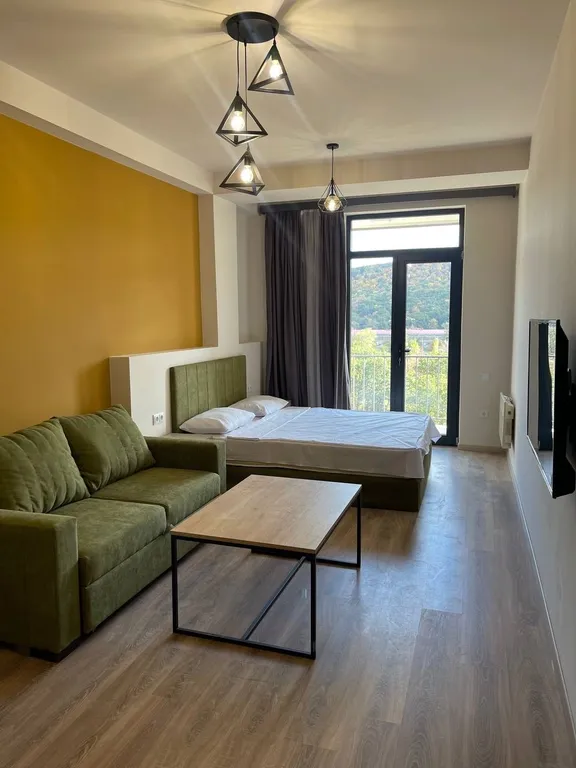 Красивая квартира-студия с видом на горы