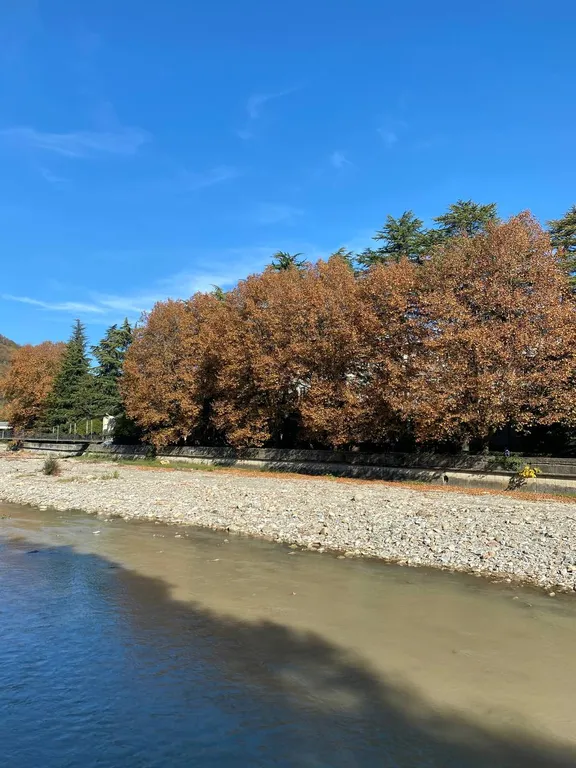 Best apartment in Khosta