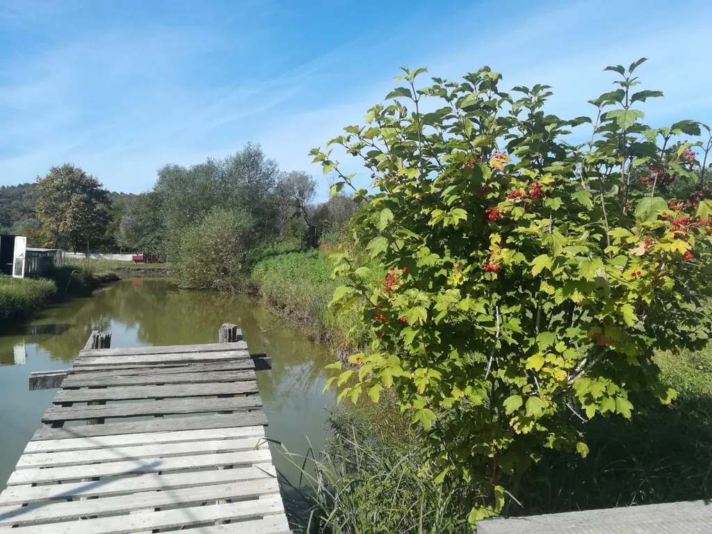 Дом рядом с термальными источниками