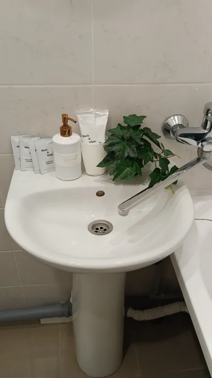 Студия у метро Потапово