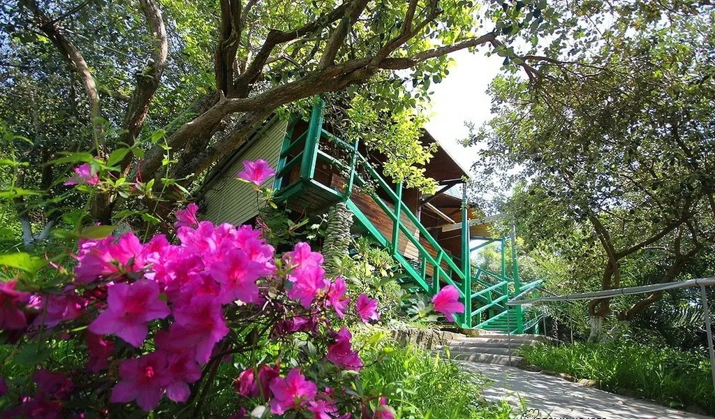 Коттедж 1-комнатный Дом — Сочи