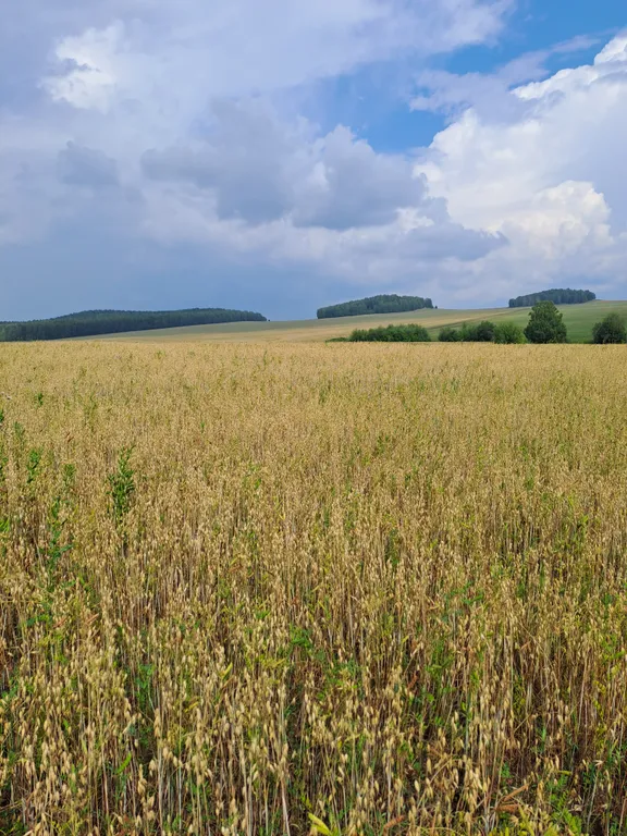 Коттедж Уютный домик в деревне — Уфа