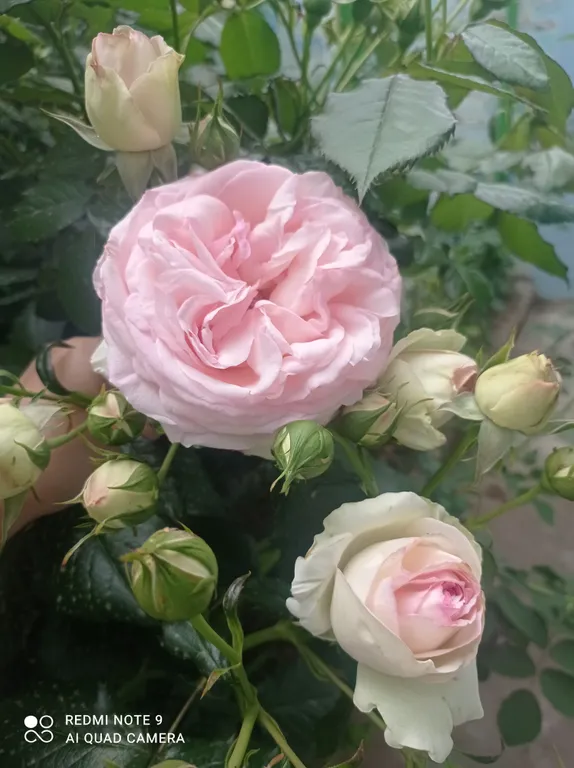 Квартира Номер Стандарт в частном секторе — Заозёрное