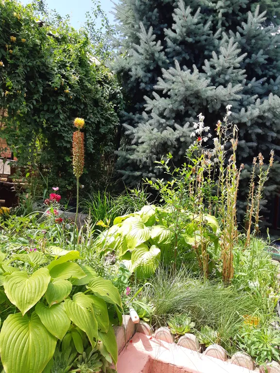 Любимый дворик