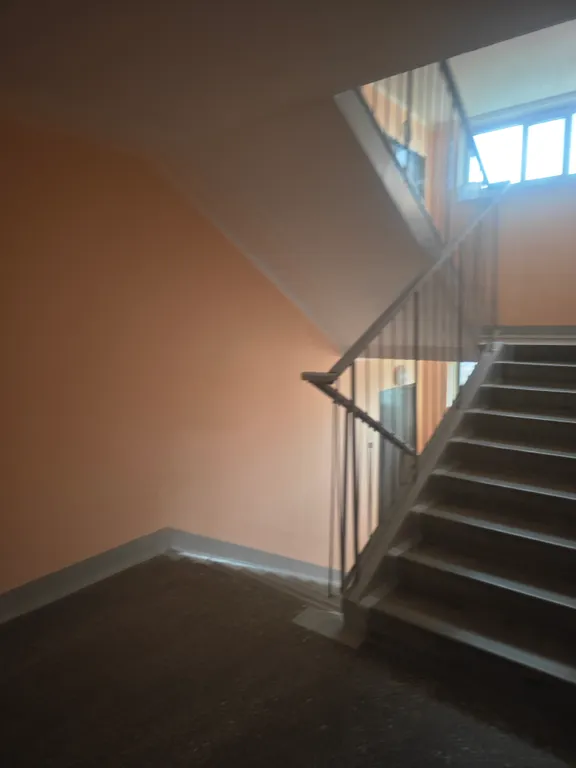 Квартира Просторная квартира рядом с СФУ, биатлонным комплексом, детской краевой — Красноярск