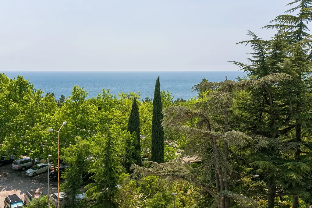 Апартаменты с видом на море 526