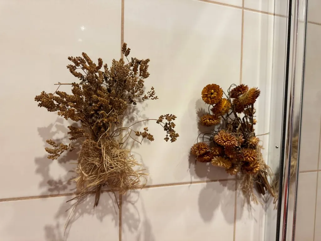 Квартира Апартаменты Дайкири — Светлогорск