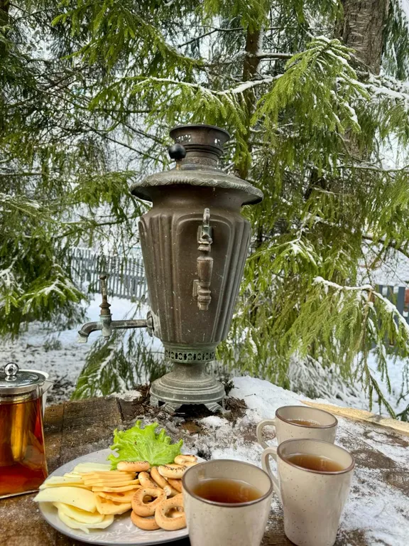 Дом с чаном и сауной в лесу