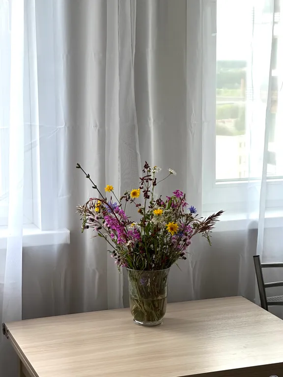 Новые апартаменты в парке в одной минуте от озера Сенеж