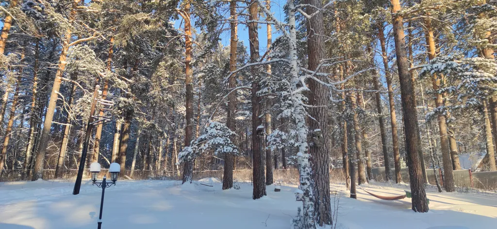 Уютный Дом в Лесу в Аникино