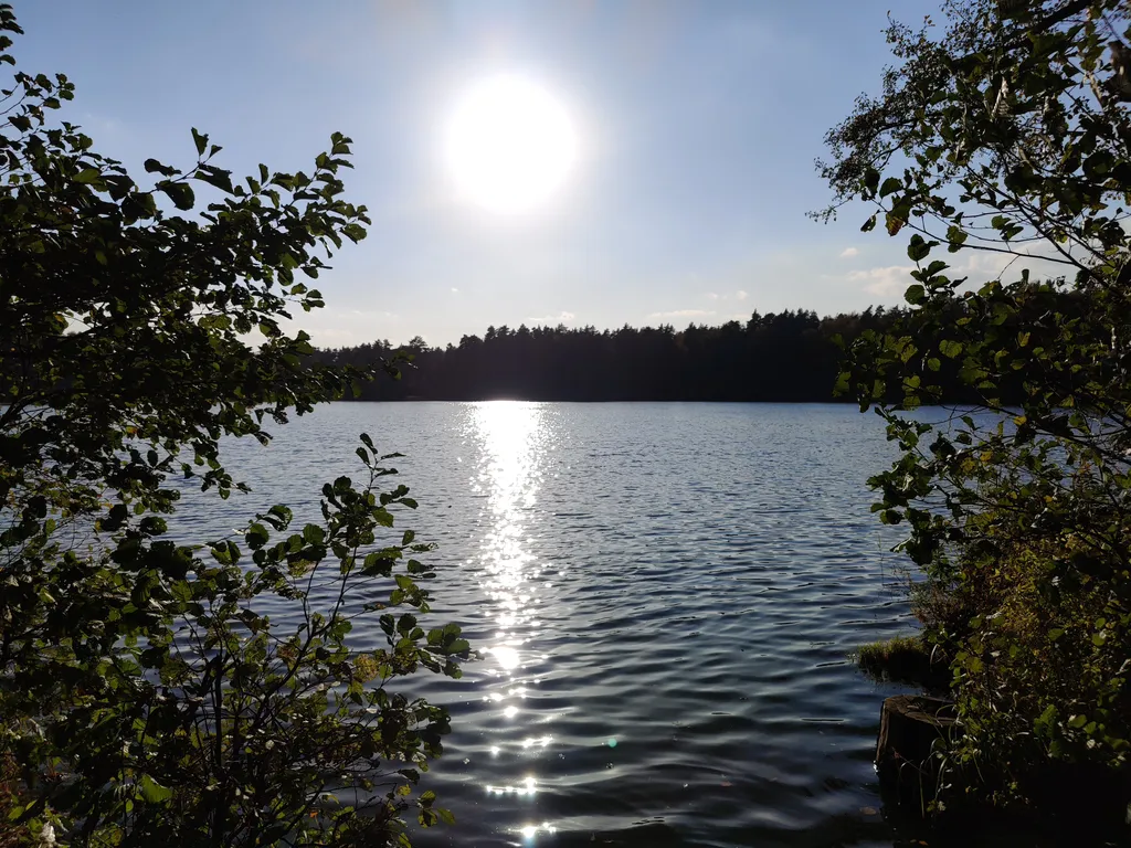 Уютный дом БлагоВдом