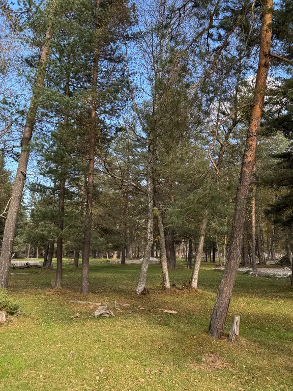 Коттедж в лесу рядом с рекой