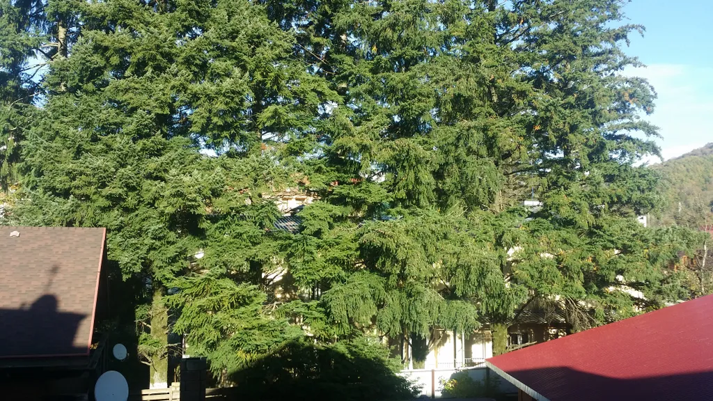 Семейный апартамент Санапарт на 4 места