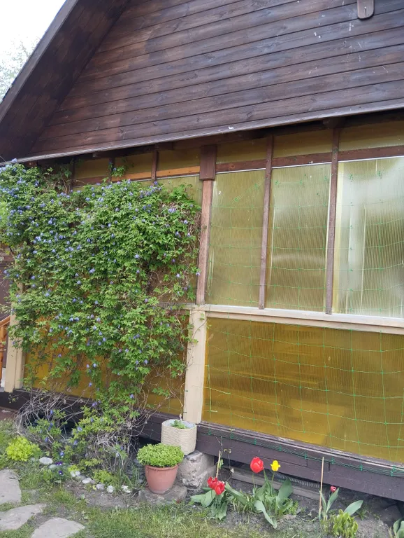 Апартаменты с видом на Кремль