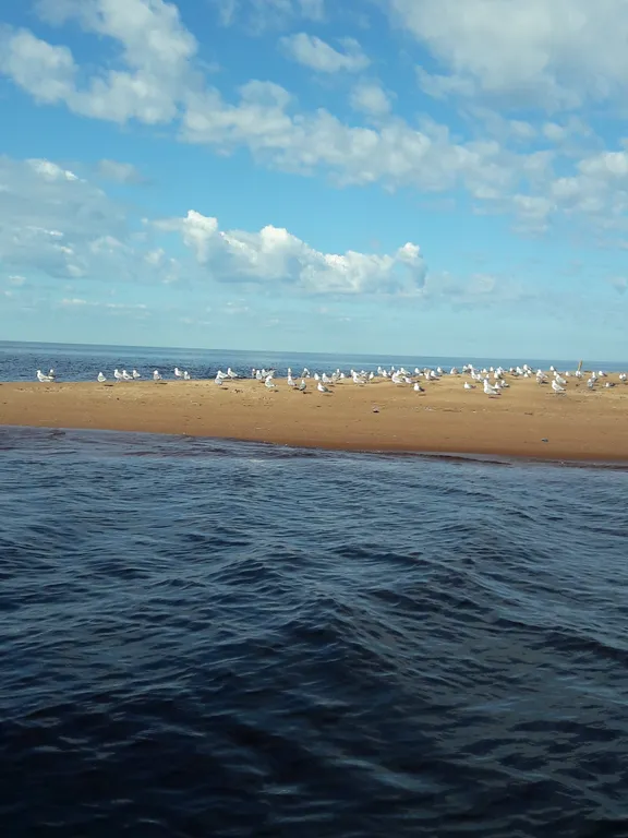 Гостевой дом у Ладожского озера