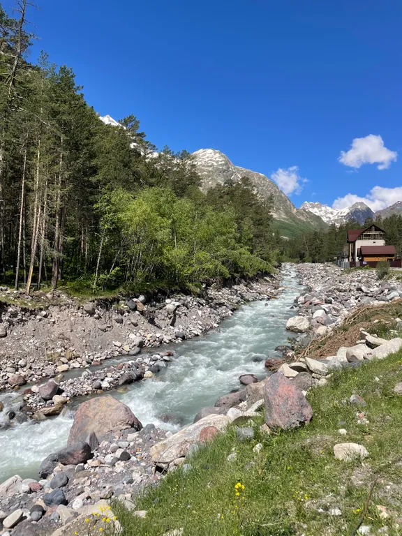 Уютная светлая квартира в лесу среди гор — аренда посуточно в Терскол
