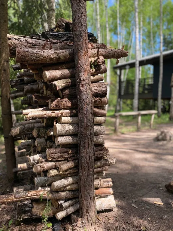 Уютный дом в лесу