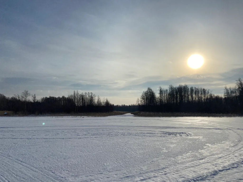 Хижина в лесу на берегу озера без соседей